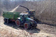 Sklizeň biomasy
