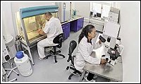 Provedení testů cytotoxicity se provádí v laboratoři buněčných kultur