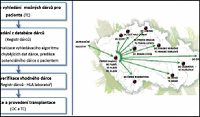 Pokročilé vyhledávání vhodných dárců kostní dřeně