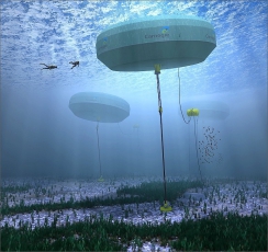 Austrálie spustila síťovou příbojovou elektrárnu