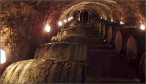 Tokajské sklepy jsou prostorné, vysoké, dokonale větrané, sudy jsou dubové