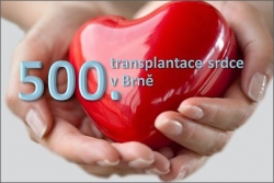 500. transplantace srdce