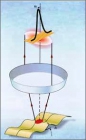 Obr. 1