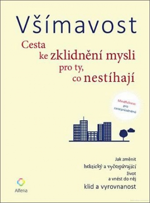 Všímavost: Cesta ke zklidnění mysli pro ty, co nestíhají
