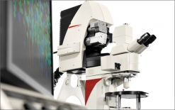 Špičkový mikroskop v Krči přispěje k výzkumu epilepsie