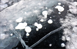 Kusy hydrátu metanu (bílé objekty uprostřed fotografie) pod zamrzlou hladinou jezera Bajkal. Vzniká v hlubinách z metanu vytvářeného mikroorganismy žijícími v jezeře