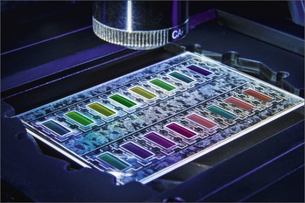 Testování vzorku pro bakteriální rezistenci