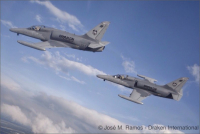 Letouny L-159 zahájily provoz ve Spojených státech Letouny L-159 zahájily provoz ve Spojených státech