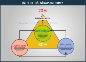 INTELEKTUÁLNÍ KAPITÁL FIRMY