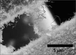 Nanotrubičky z karbidu křemíku vylepší novou generaci raketových motorů