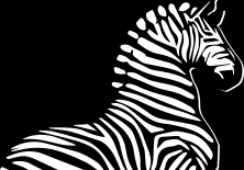 ZEBRA SYSTEMS, s.r.o.