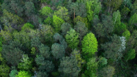 Svět čelí významným výzvám, od změn klimatu až po populační explozi Svět čelí významným výzvám, od změn klimatu až po populační explozi