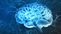 Nová léčba mozkových nádorů využívá nanovlákna