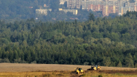 Pod Jezeří se vrátí sekvojovec obrovský Pod Jezeří se vrátí sekvojovec obrovský
