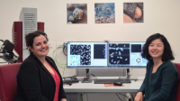 Queenslandská univerzita využívá k mineralogickým výzkumům elektronový mikroskop TESCAN TIMA Queenslandská univerzita využívá k mineralogickým výzkumům elektronový mikroskop TESCAN TIMA