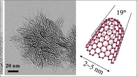 Nanomateriály zajistí odolnost a výnosnost plodin v zasolených půdách