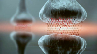 Grafenové memristory otevírají dveře biomimetickým počítačům Grafenové memristory otevírají dveře biomimetickým počítačům