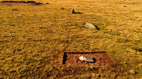 Stěhovavý Stonehenge