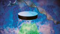 3D nanosupravodiče je možné vyrobit z DNA