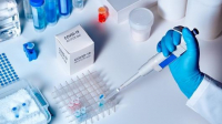 Počet pozitivních záchytů klesá, firmy volají po posílení systému konfirmačních PCR testů 