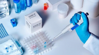 Počet pozitivních záchytů klesá, firmy volají po posílení systému konfirmačních PCR testů Počet pozitivních záchytů klesá, firmy volají po posílení systému konfirmačních PCR testů