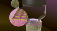 Nová metoda 3D tisku umožňuje tvorbu živých biofilmů Nová metoda 3D tisku umožňuje tvorbu živých biofilmů