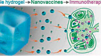Vakcíny založené na mRNA i pro imunoterapii nádorů