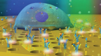 Nanosenzory s umělou inteligencí zkoumají biologické molekuly Nanosenzory s umělou inteligencí zkoumají biologické molekuly