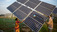 Solární panely v Bangladéši /Foto: IWMI/