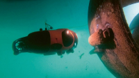 Podvodní dron Seasam věrně následuje potápěče