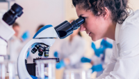 Nové české diagnostické řešení pomáhá předvídat těhotenské komplikace na základě analýzy krveI /lustrační obrázek/ Nové české diagnostické řešení pomáhá předvídat těhotenské komplikace na základě analýzy krveI /lustrační obrázek/