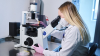 Vědci se budou zabývat problematikou polymerů a jejich dopadů na životní prostředí Vědci se budou zabývat problematikou polymerů a jejich dopadů na životní prostředí