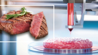 Kultivované maso z českých laboratoří se už možná brzy stane součástí jídelníčku