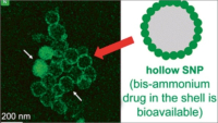 „Nanomaliny“ slibují účinnější léčbu s minimem vedlejších účinků