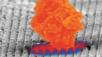Nová nanotechnologie zajistí odolnost povrchů proti prachu