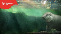 Brněnský LIFETECH bude čistit vodu zvířatům v singapurské ZOO Brněnský LIFETECH bude čistit vodu zvířatům v singapurské ZOO