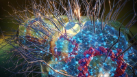 Elektronický nos s mikrobiálními nanodrátky zlepší diagnostiku © UMass Amherst Elektronický nos s mikrobiálními nanodrátky zlepší diagnostiku © UMass Amherst