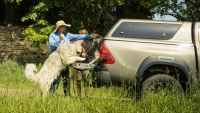 Pastevecké psy na ochranu před vlky převážela Toyota Hilux na korbě 