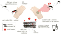 Nanokrystaly celulózy chrání před komářími štípanci