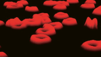 Digitální holografický mikroskopický (DHM) snímek červených krvinek © Egelberg, CC BY-SA 3.0, via Wikimedia Commons