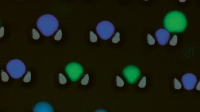 Mikrokapsle s fluorescenčními značkami © Tom de Greef / Eindhoven University of Technology