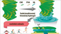 Nový ohebný senzor potu je založen na fotonických krystalech nanocelulózy