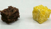 Houba potažená nanočásticemi (vlevo) vedle nepotažené celulózové houby © northwestern university