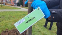 Ekologické hydrogely ze zlínské univerzity pomohou chránit stromy 