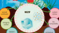 Nanotechnologie MiZIF zajišťuje chytrý přísun látek pěstovaným rostlinám