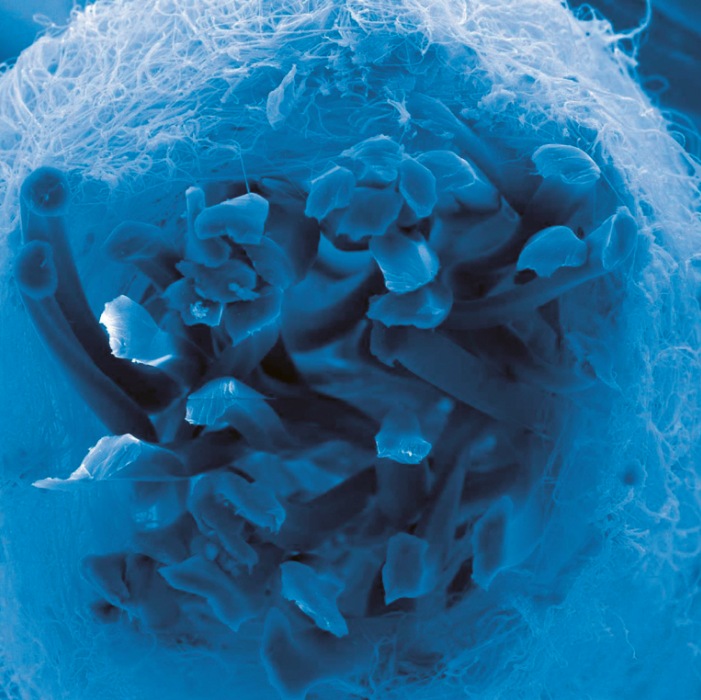 Řez přízí s nanovlákny — snímek pořízen pomocí rastrovacího elektronového mikroskopu