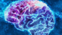 Účinnost hloubkové stimulace mozku u Parkinsoniků bude efektivnější díky novým poznatkům / Zdroj: AV ČR/
