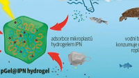 Chitosanový hydrogel odstraňuje z vody mikroplasty Chitosanový hydrogel odstraňuje z vody mikroplasty