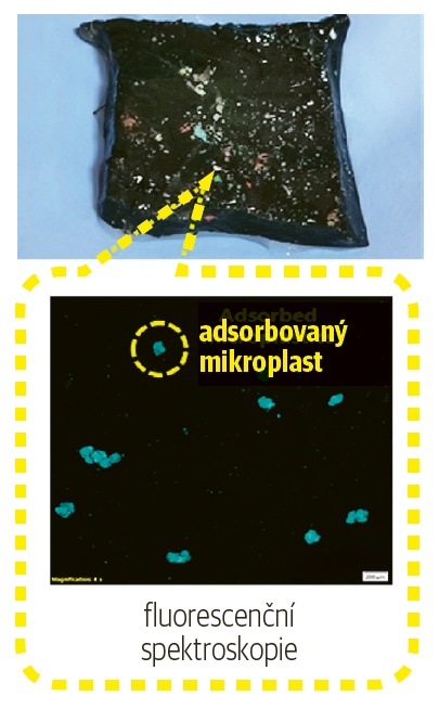 Mikroplastická adsorpce na hydrogelu a fluorescenčně značená mikroplastická detekce pomocí spektroskopie © Soumi Dutta / IISc