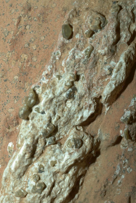 Rover NASA Perseverance objevil na Marsu kámen, který mohl kdysi hostit mikrobiální život. Horninou kdysi protékala tekutina — velmi pravděpodobně voda © NASA, JPL
